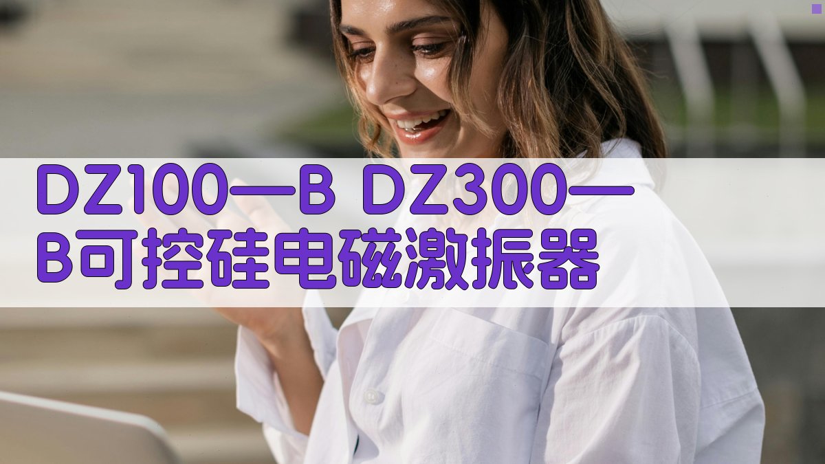 DZ100—B DZ300—B可控硅电磁激振器